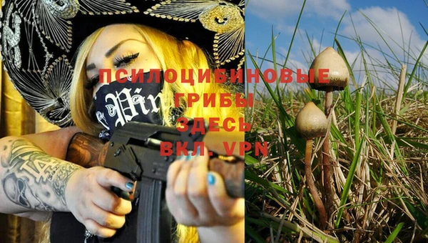 кокс Майский