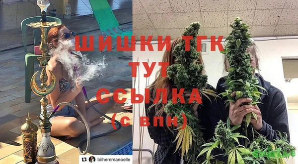 мяу мяу мука Осташков