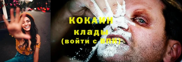 мяу мяу мука Медвежьегорск