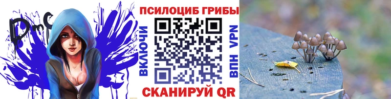 Галлюциногенные грибы прущие грибы  купить закладку  Абакан 