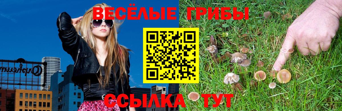 Псилоцибиновые грибы прущие грибы  Вход с VPN  Абакан 