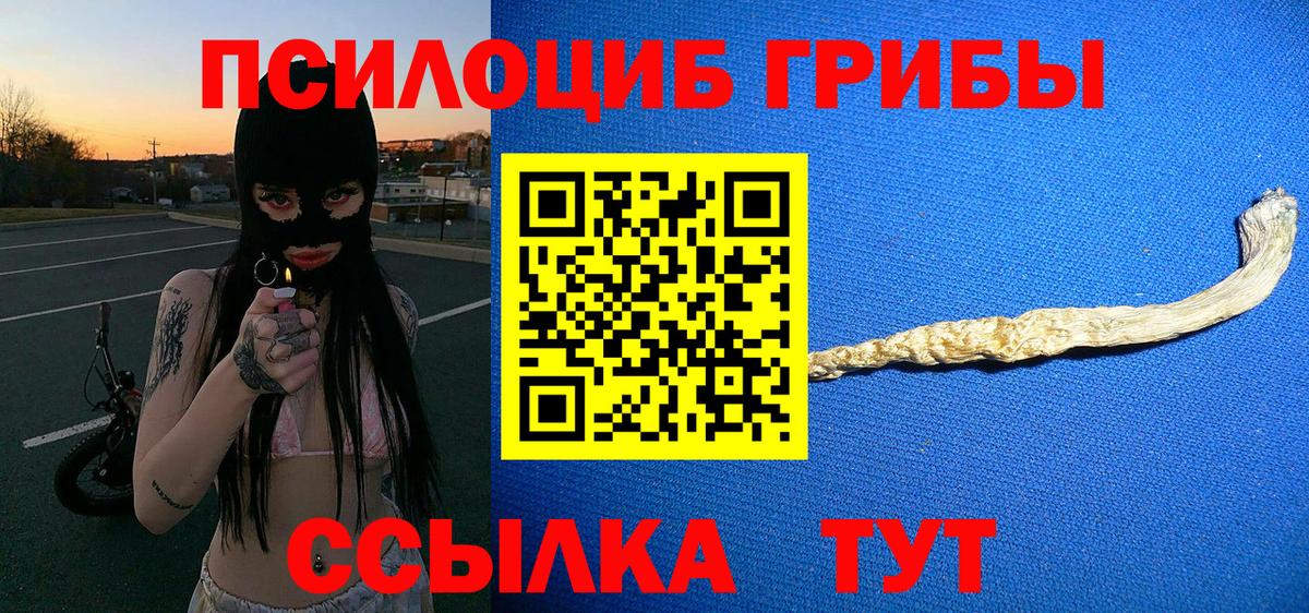 Галлюциногенные грибы мухоморы  как найти закладки  Псилоцибиновые грибы Psilocybine cubensis  Абакан 