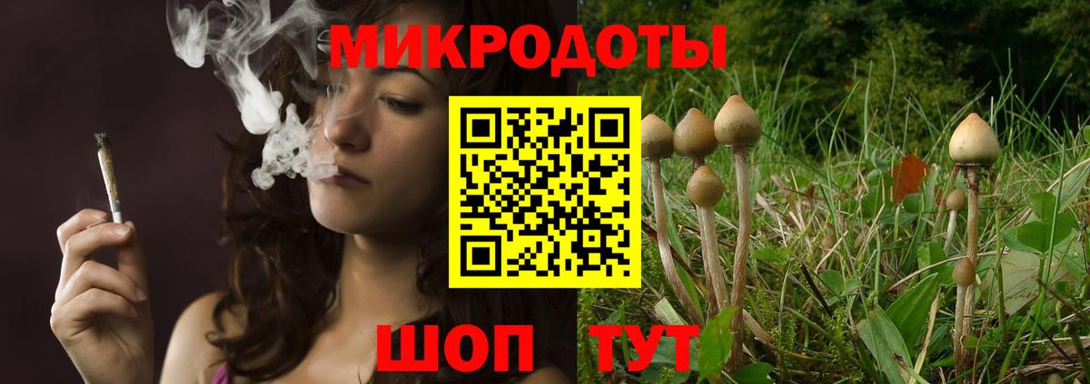 Псилоцибиновые грибы Magic Shrooms Абакан